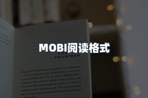MOBI阅读格式