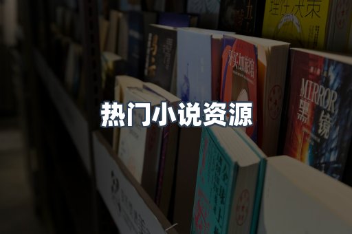 热门小说资源